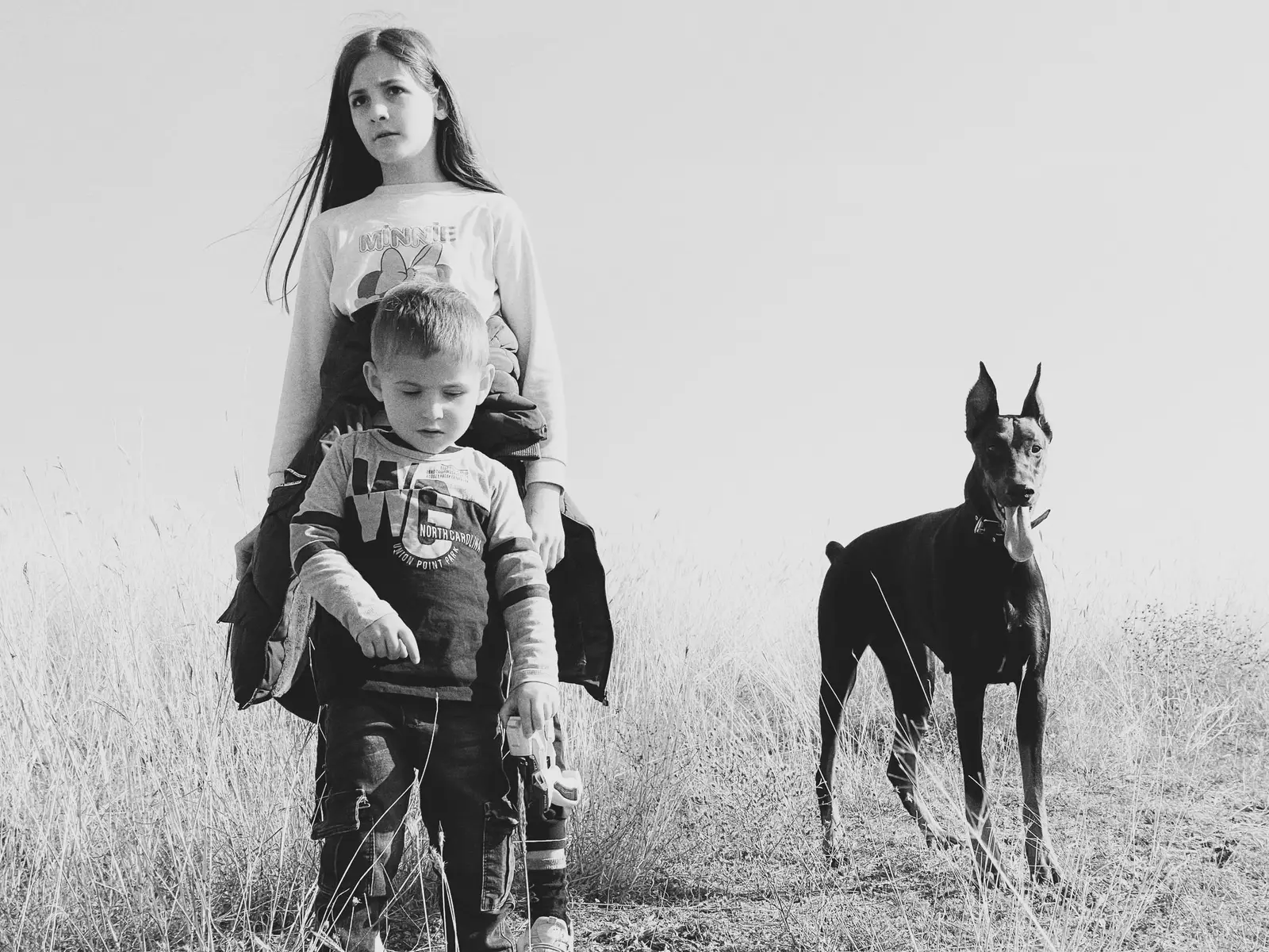 Dwoje dzieci i doberman na łące, zdjęcie czarno-białe
