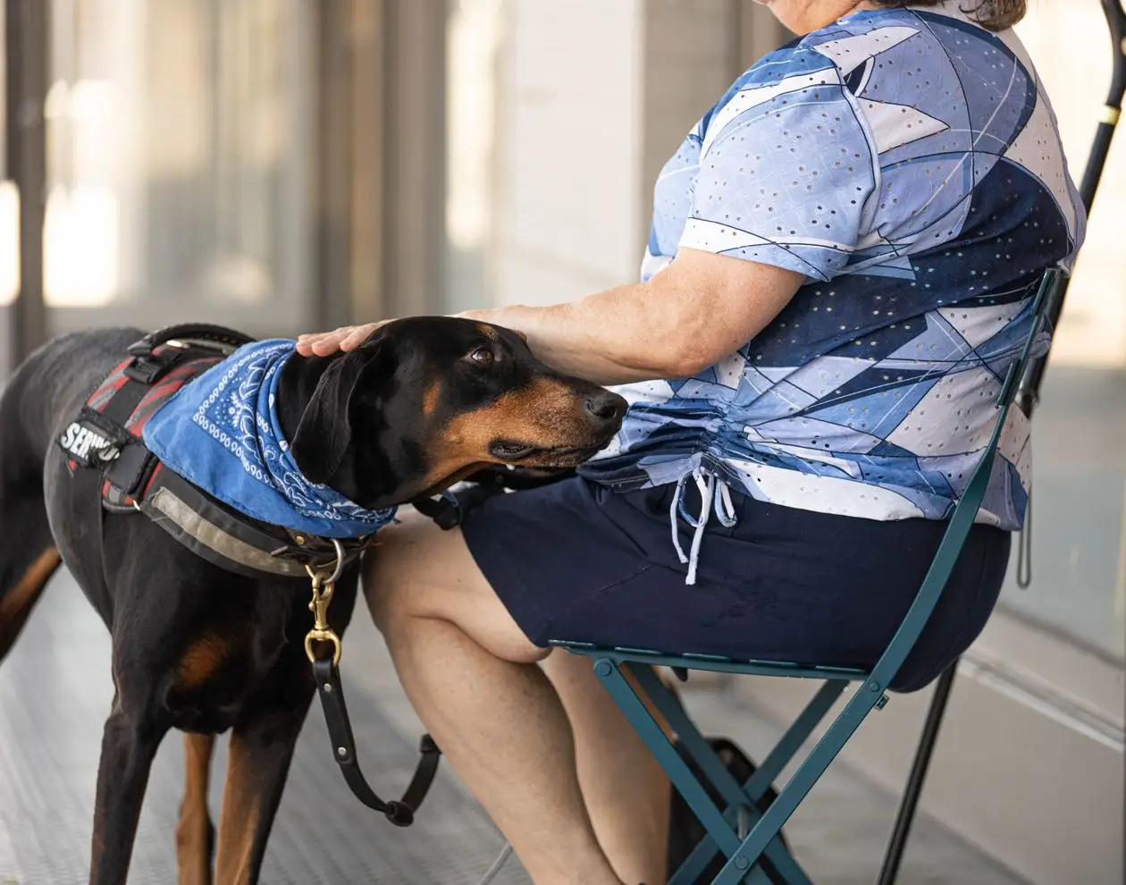 Pies do dogoterapii leży spokojnie przy starszej osobie