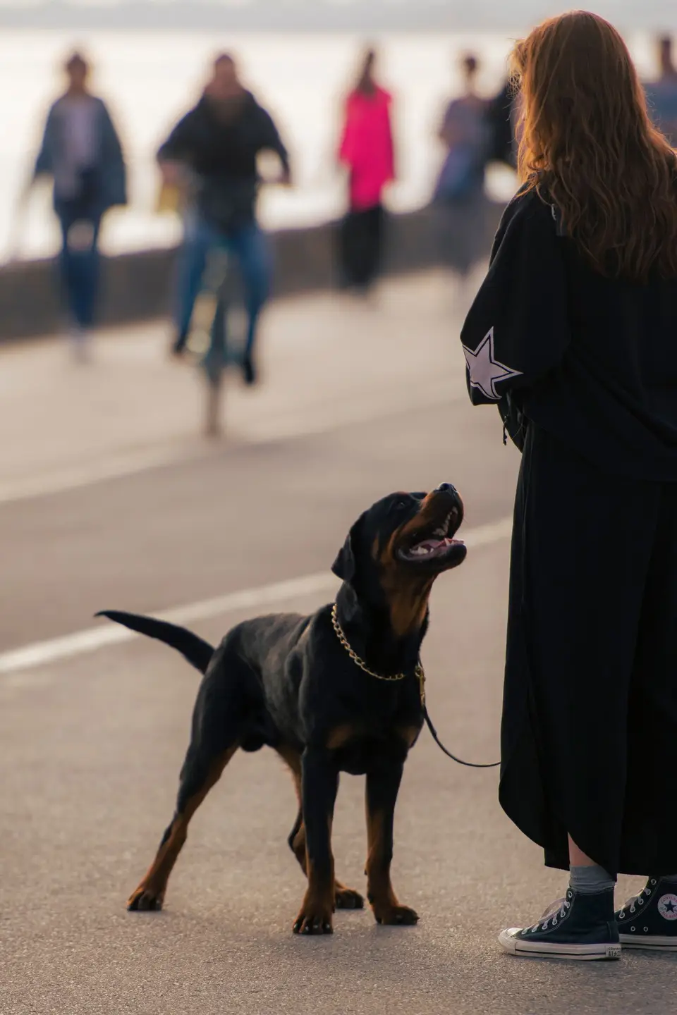 Kobieta w płaszczu prowadzi psa na smyczy miejską promenadą