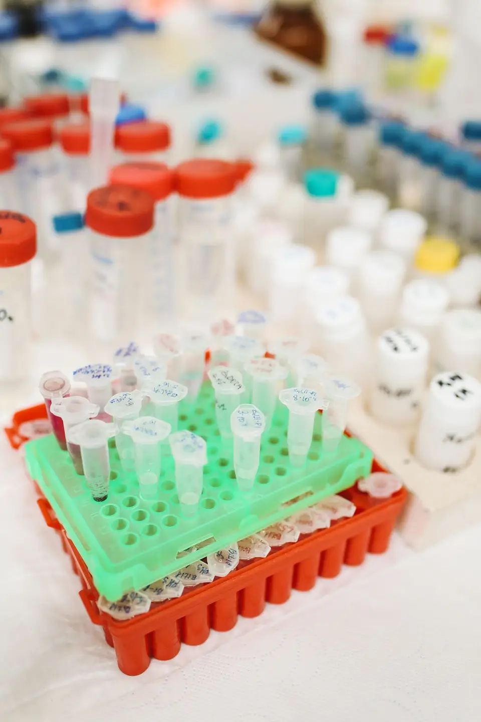Probówki laboratoryjne ustawione rzędem do badania próbek